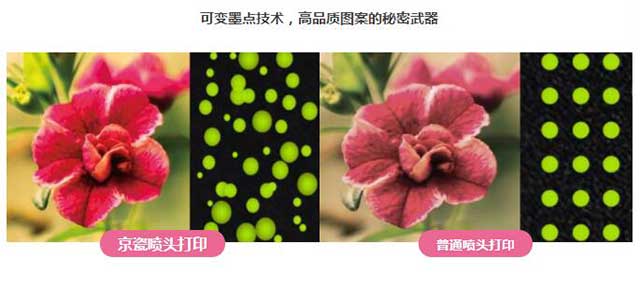  草莓社区色版数码